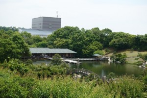 Japanese tea ceremony4